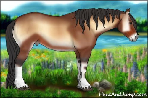 Horse Color:Bay Onyx Tobiano 