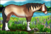 Horse Color:Bay Onyx Tobiano 