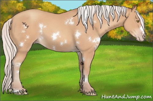 Horse Color:White Spotted Silver Amber Champagne 
