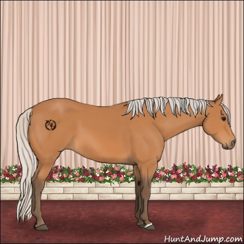 Horse Color:Silver Bay