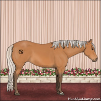 Horse Color:Silver Bay 