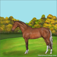 Horse Color:Silver Bay Rabicano 