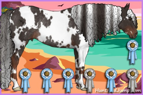 Horse Color:White Spotted Liver Chestnut Rabicano