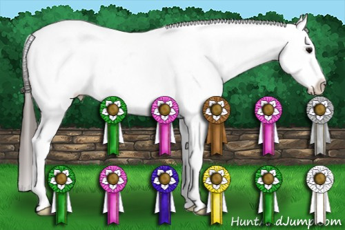 Horse Color:Black Sabino Tobiano Appaloosa 