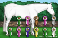 Horse Color:Black Sabino Tobiano Appaloosa 