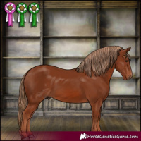 Horse Color:Chestnut 
