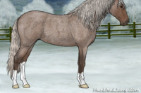 Horse Color:Silver Blue Roan 