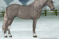 Horse Color:Silver Blue Roan 