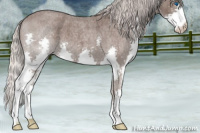 Horse Color:Silver Blue Roan Splash 