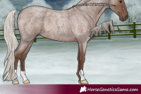 Horse Color:Silver Blue Roan 