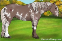 Horse Color:White Spotted Chocolate Silver Black