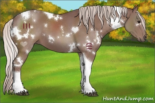 Horse Color:White Spotted Chocolate Silver Black Tobiano 