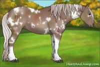 Horse Color:White Spotted Chocolate Silver Black Tobiano 