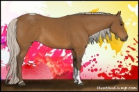 Horse Color:Silver Buckskin Tobiano 