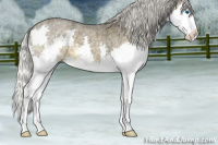 Horse Color:Silver Smoky Blue Roan Splash 