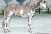 Horse Color:Silver Blue Roan Splash