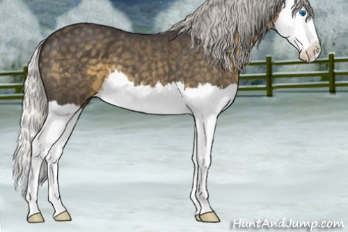 Horse Color:Silver Smoky Blue Roan Splash 