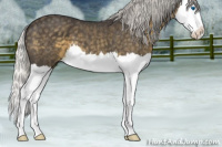 Horse Color:Silver Smoky Blue Roan Splash 