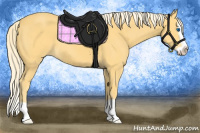 Horse Color:Palomino Splash
