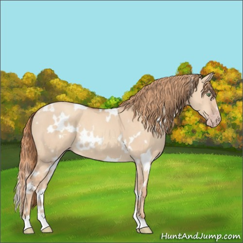 Horse Color:White Spotted Gold Champagne Dun