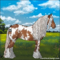 Horse Color:White Spotted Chocolate Silver Buckskin 
