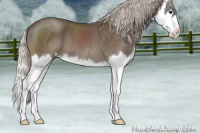 Horse Color:Silver Blue Roan Splash 