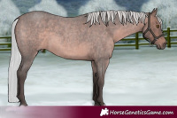 Horse Color:Platinum Silver Brown Roan Sabino Rabicano 