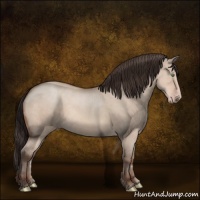Horse Color:Sable Champagne Dun Sabino 
