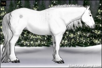 Horse Color:Gray White Spotted Black and Gray White Spotted Black