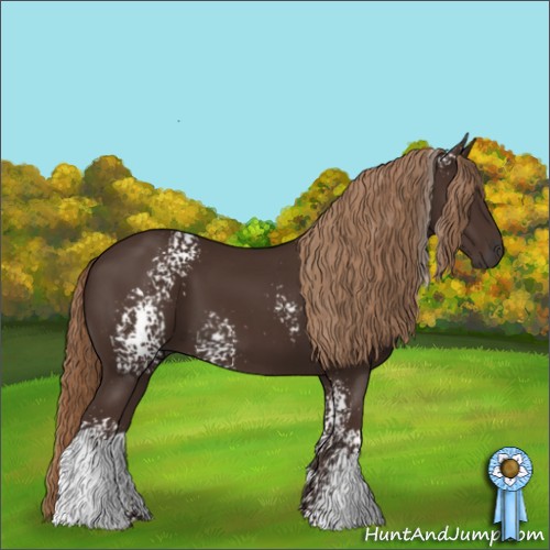 Horse Color:White Spotted Liver Chestnut 