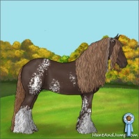 Horse Color:White Spotted Liver Chestnut 