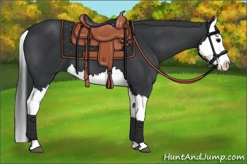 Horse Color:Black Splash 