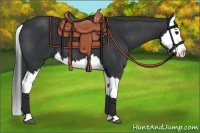 Horse Color:Black Splash 