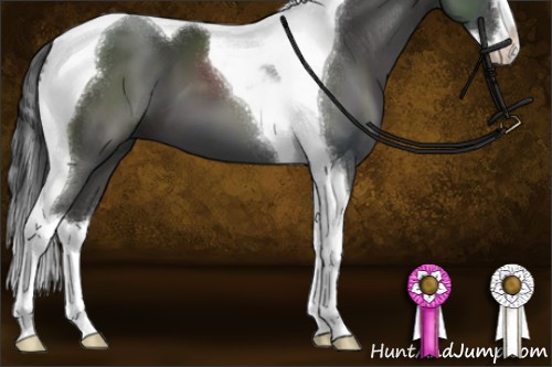 Horse Color:Black Sabino Splash Tobiano 
