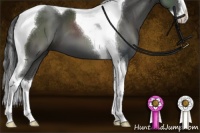 Horse Color:Black Sabino Splash Tobiano 
