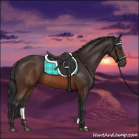 Horse Color:Buckskin Rabicano 