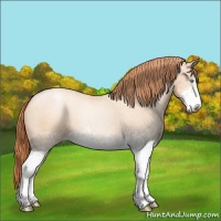Horse Color:White Spotted Amber Champagne Roan Pearl Rabicano 
