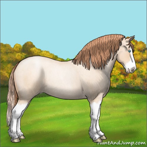 Horse Color:Amber Champagne Roan Pearl Splash Rabicano 