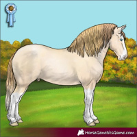 Horse Color:Gold Champagne Pearl Dun Splash 