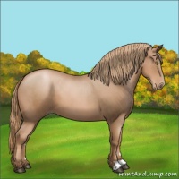 Horse Color:Liver Chestnut Pearl 