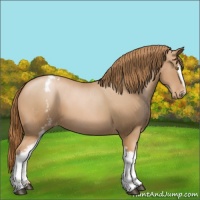 Horse Color:White Spotted Chestnut Pearl Varnish 