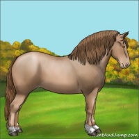 Horse Color:Liver Chestnut Pearl