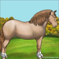Horse Color:Chestnut Pearl 