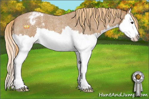 Horse Color:Red Roan Sabino Splash Varnish 