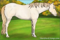 Horse Color:Buckskin Roan Pearl  and Buckskin Roan Pearl 