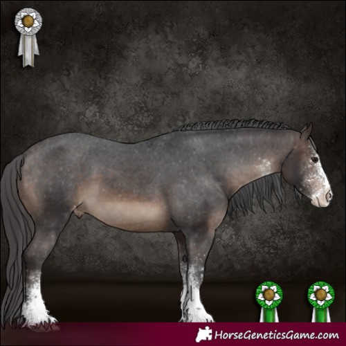 Horse Color:White Spotted Brown Varnish