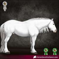 Horse Color:White Spotted Brown Appaloosa