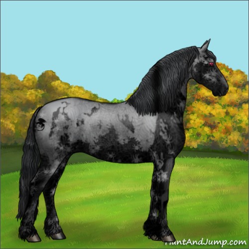 Horse Color:Void White Spotted Grullo Chinchilla Splash 