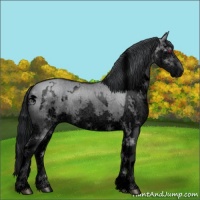 Horse Color:Void White Spotted Grullo Chinchilla Splash 