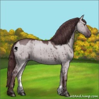 Horse Color:Chocolate Grullo Chinchilla 